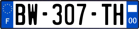 BW-307-TH