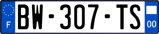 BW-307-TS