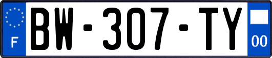 BW-307-TY