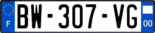 BW-307-VG