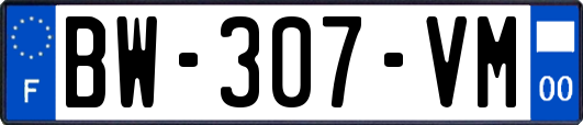 BW-307-VM