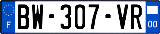 BW-307-VR