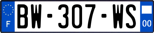 BW-307-WS