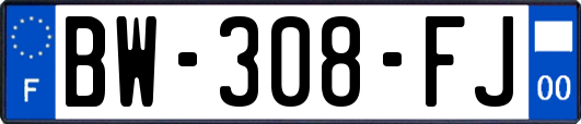 BW-308-FJ