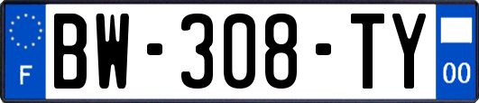 BW-308-TY
