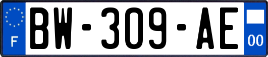 BW-309-AE