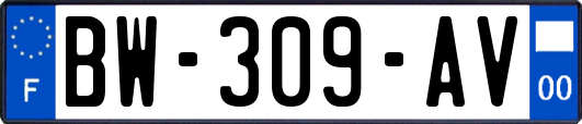 BW-309-AV