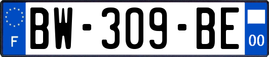 BW-309-BE