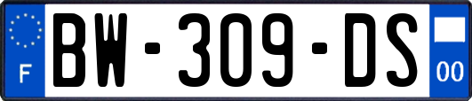 BW-309-DS