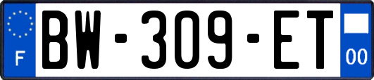 BW-309-ET