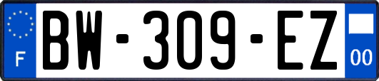 BW-309-EZ