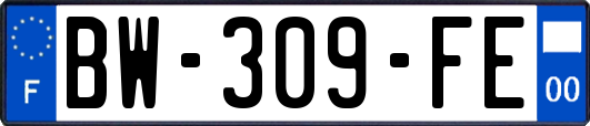 BW-309-FE