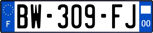 BW-309-FJ