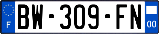 BW-309-FN