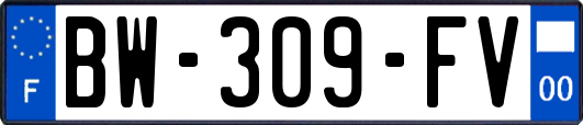 BW-309-FV