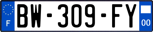 BW-309-FY