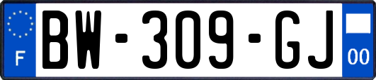 BW-309-GJ