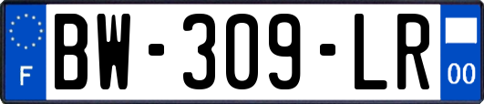 BW-309-LR