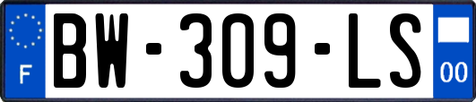 BW-309-LS