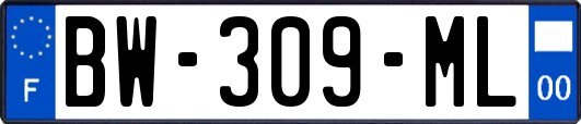 BW-309-ML