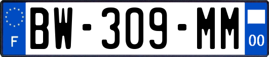 BW-309-MM