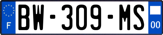 BW-309-MS