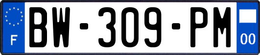 BW-309-PM
