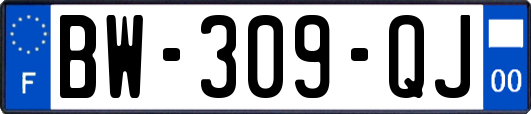 BW-309-QJ