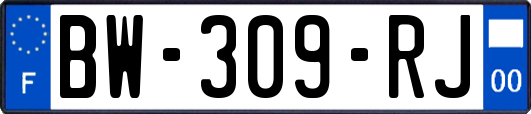 BW-309-RJ