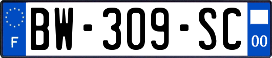 BW-309-SC