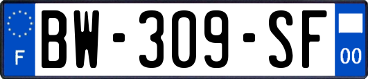 BW-309-SF