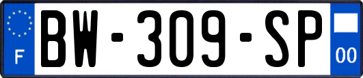 BW-309-SP