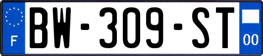 BW-309-ST