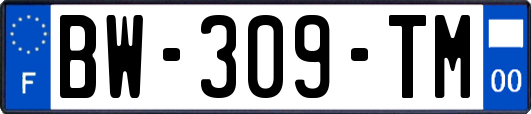 BW-309-TM