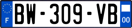 BW-309-VB