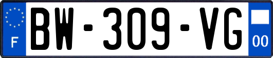 BW-309-VG