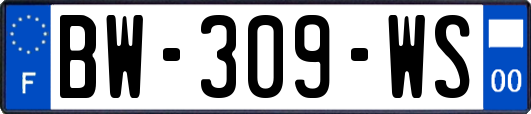 BW-309-WS