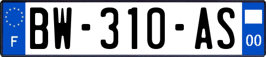 BW-310-AS