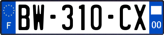 BW-310-CX