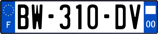 BW-310-DV