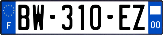 BW-310-EZ