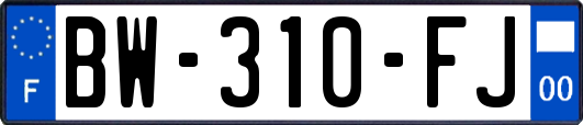 BW-310-FJ