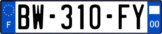 BW-310-FY