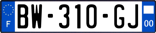 BW-310-GJ