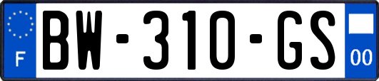 BW-310-GS