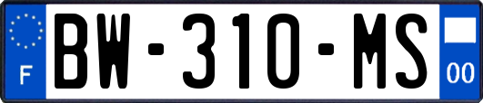 BW-310-MS