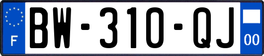 BW-310-QJ