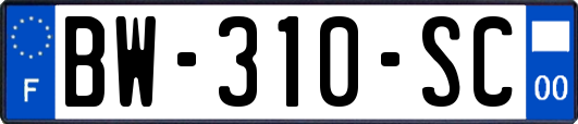 BW-310-SC