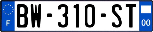 BW-310-ST
