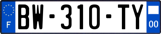 BW-310-TY